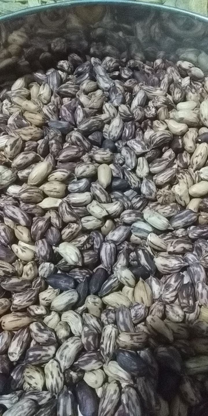 鼎粮农昌  彩色花生  七彩花生通货，批发