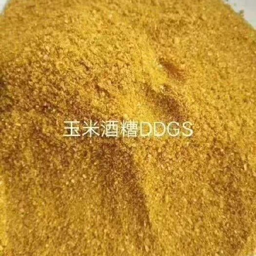 正定县玉米酒糟ddgs全国发货，诚信经营！