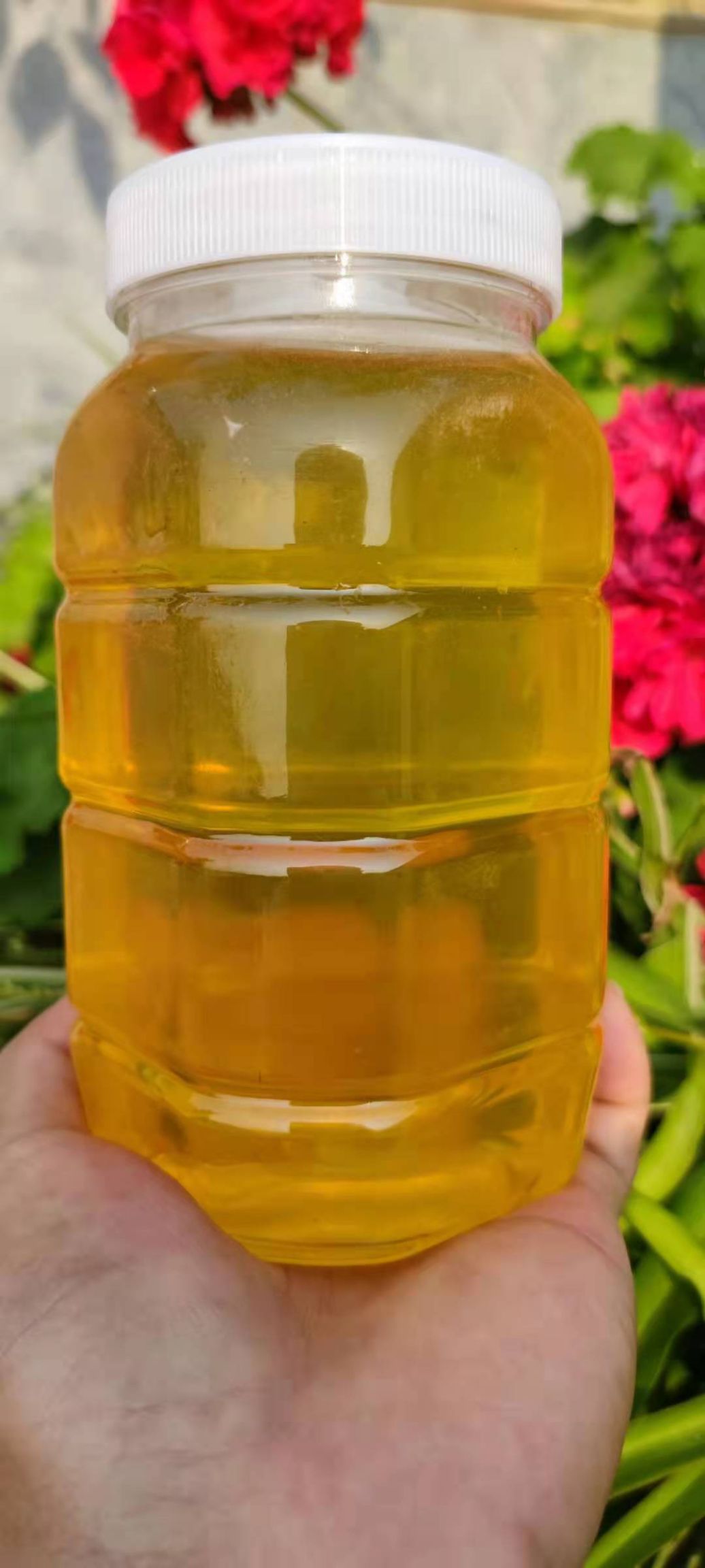 云南苦刺花蜂蜜大量走货量大从优质量保证