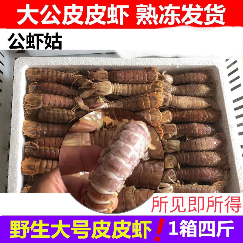 湘潭熟冻大公肥皮皮虾,赖尿虾,虾爬子,虾姑壳薄肉多,好吃鲜美大个