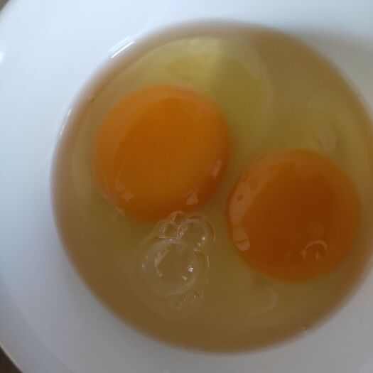 罗平县土鸡蛋 食用 散装 