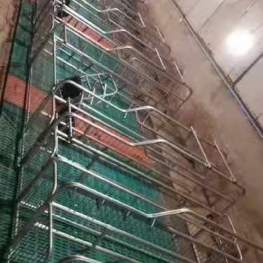 泊头市 本厂专业生产。母猪双体产床，保育床，母猪限位栏。
