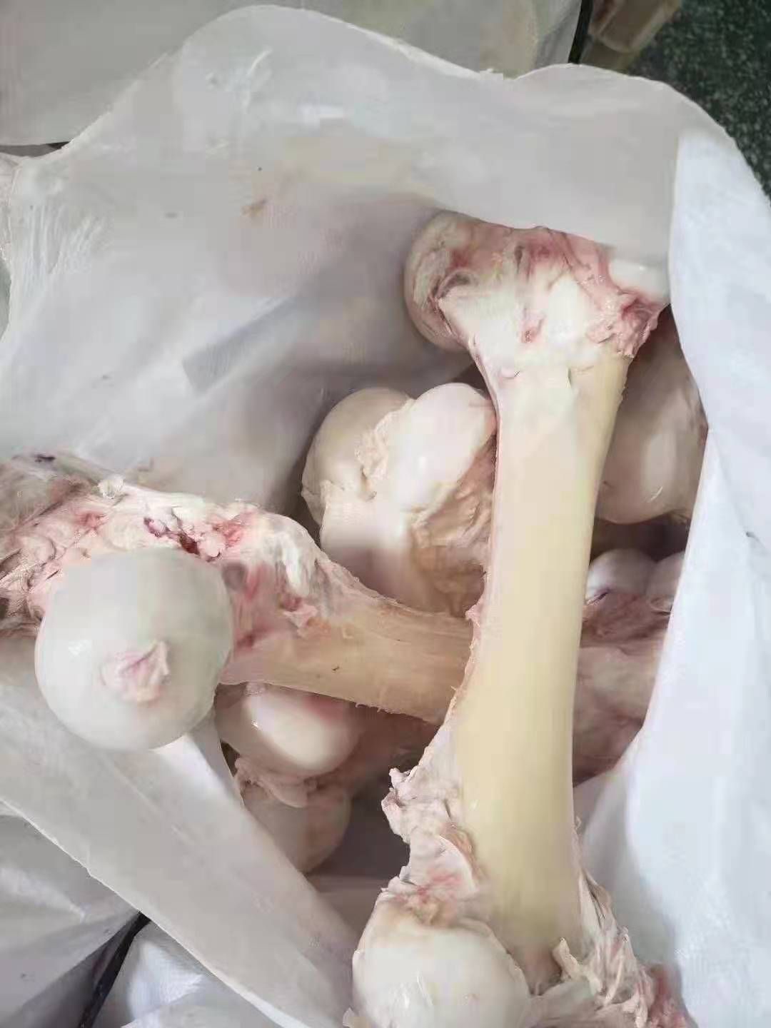 牛骨  牛棒骨