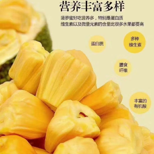 凭祥市 泰国菠萝蜜
