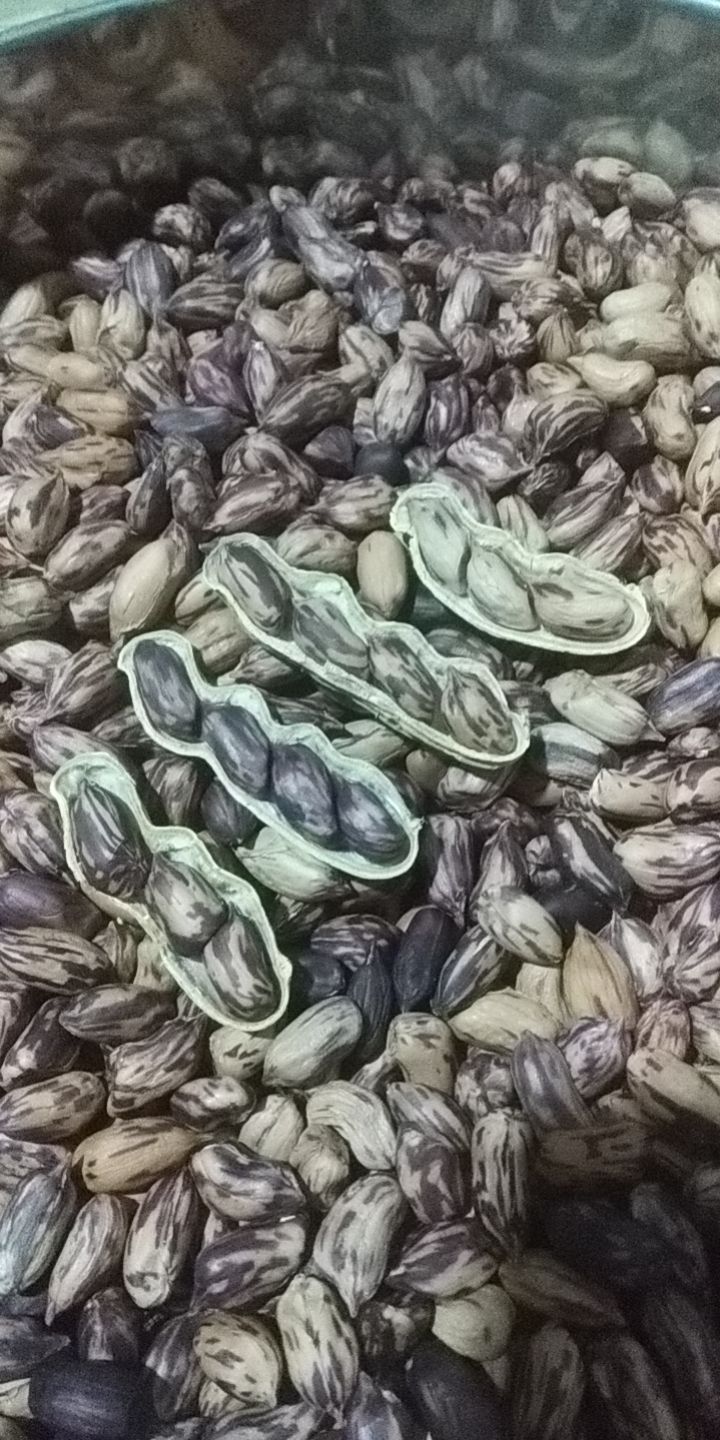 鼎粮农昌  彩色花生  七彩花生通货，批发