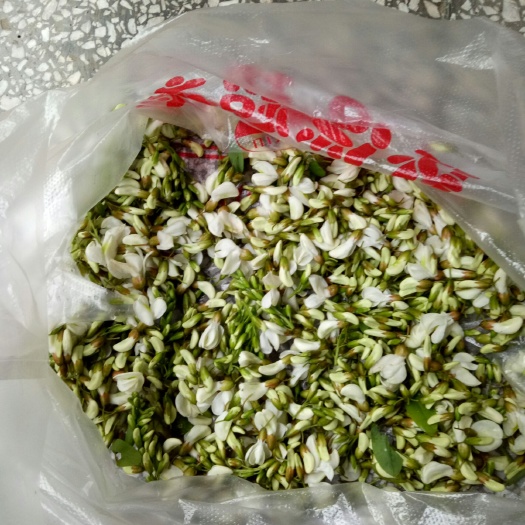 垫江洋槐花、饮食佳品、也可泡水喝、只收鲜货