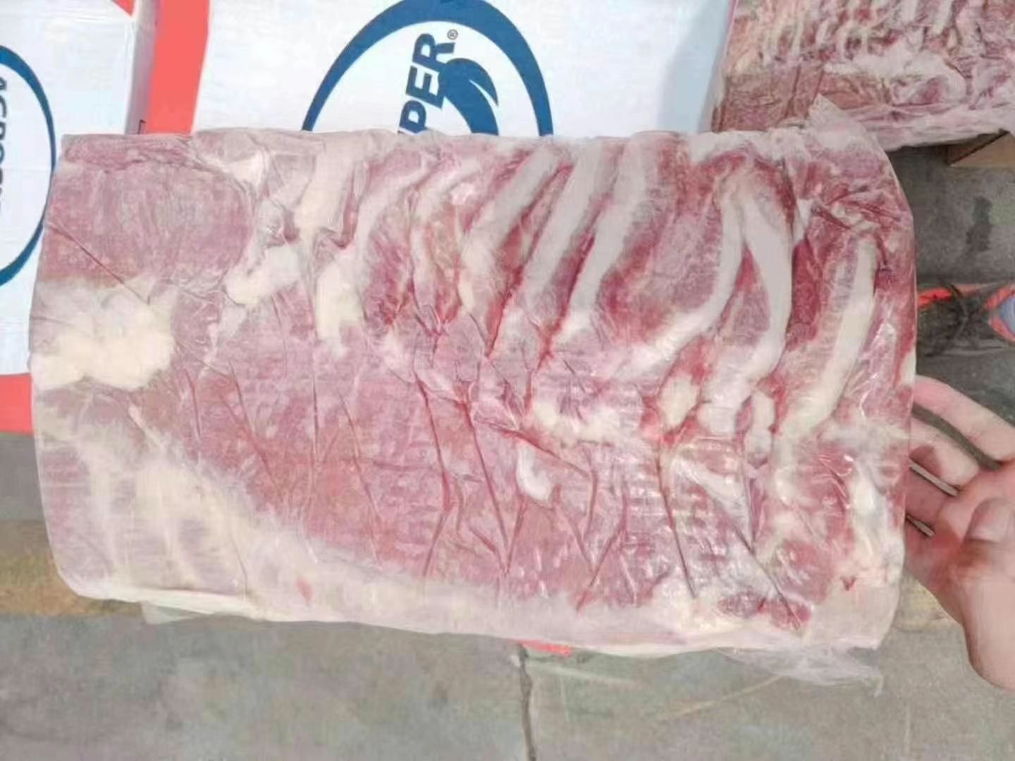 猪肉类 智利0606中方