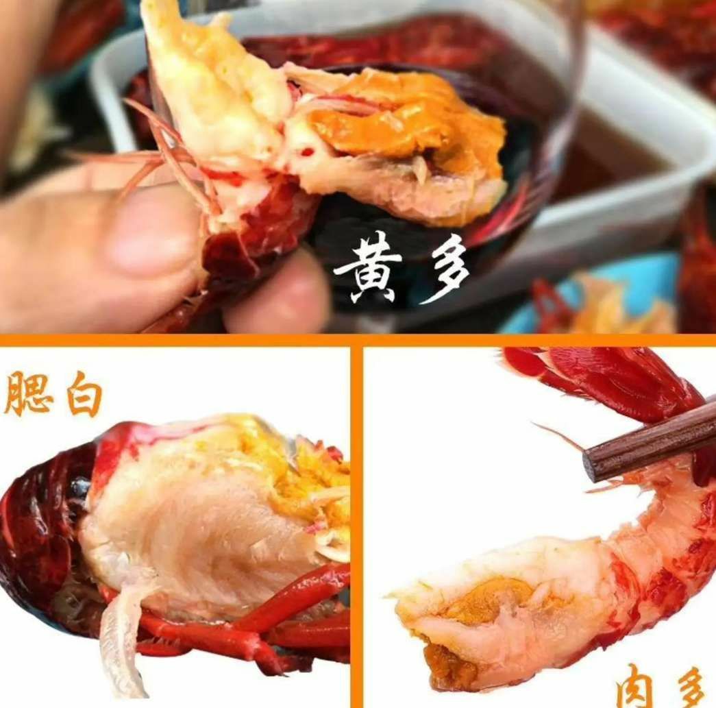 香辣虾尾  冷冻调味虾尾