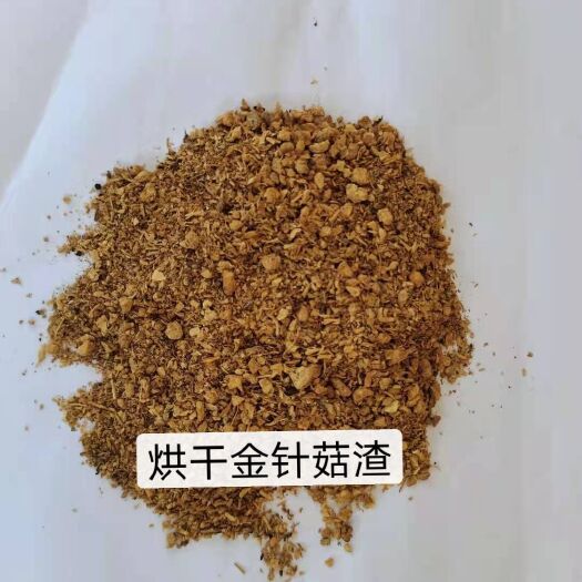 石家庄糟渣类饲料 烘干金针菇渣