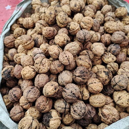 巫溪 云南纸皮核桃量大价格更便宜