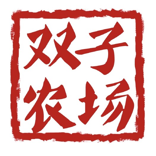 桃江县黑山羊 努比亚黑山羊 青年种母羊