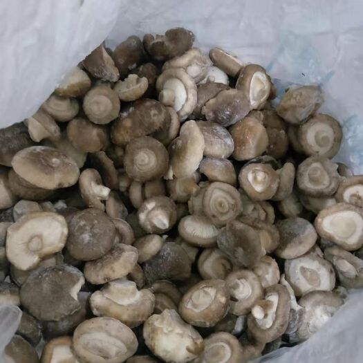 惠民县速冻香菇，适合餐饮，食品加工及出口企业