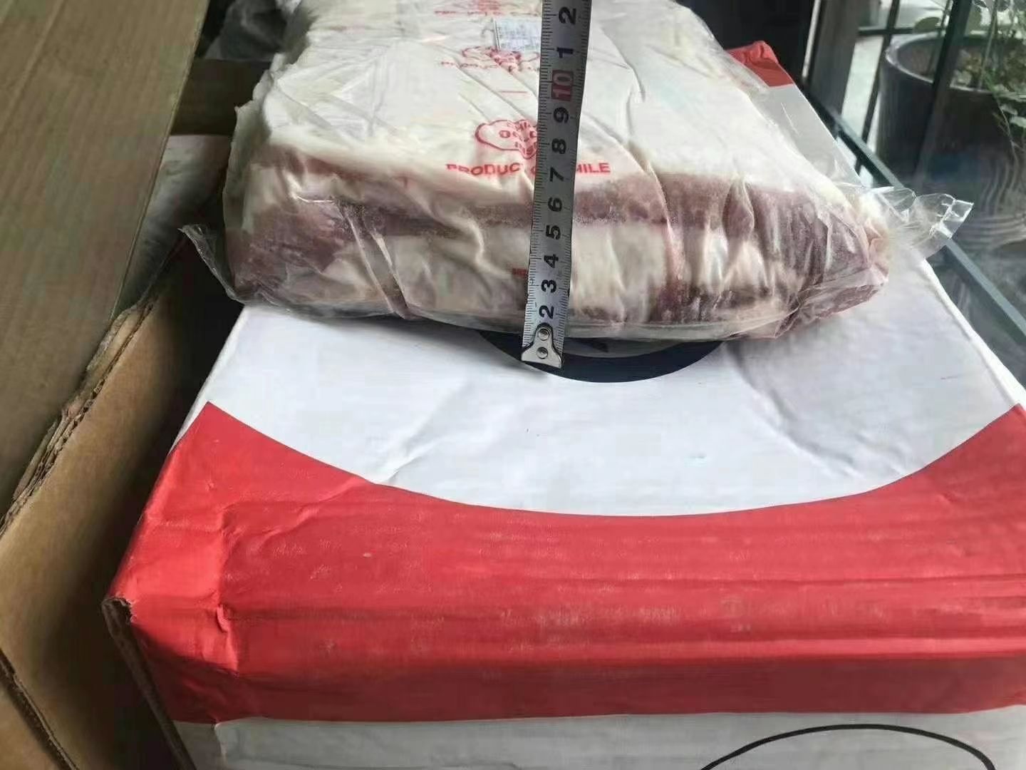 猪肉类 智利0606中方