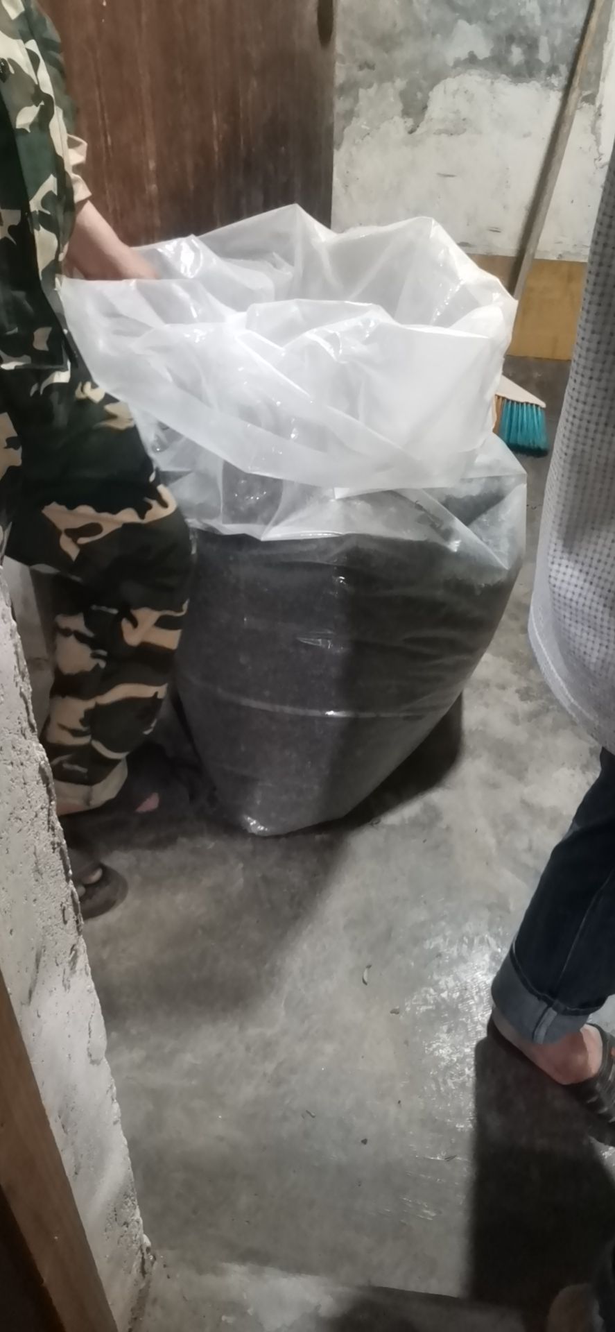 云雾茶  高山炒茶绿茶，