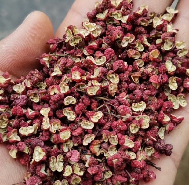 甘肃天水秦安大红袍花椒干花椒