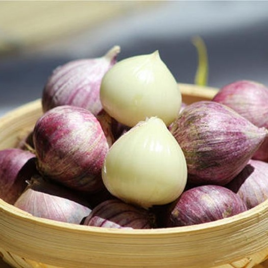 汉源县独头蒜  雅安汉源大个独蒜