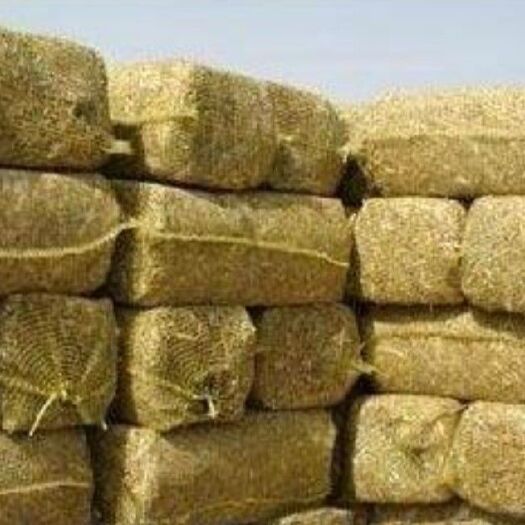 长春 玉米秸秆