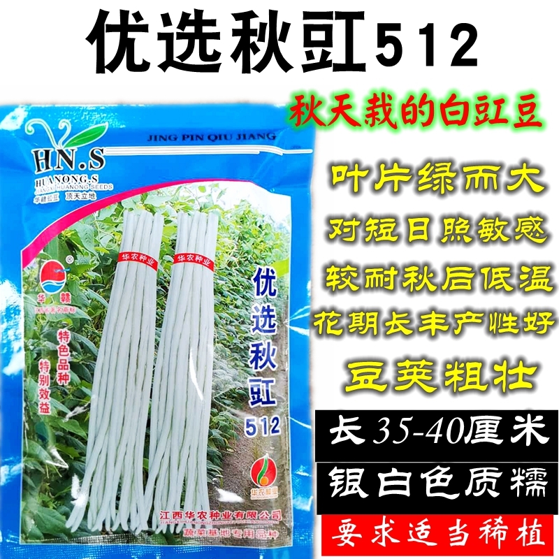 油豆角种子 秋天种的白豇豆豆角种子华赣优选秋豇512银白色质糯性豆角