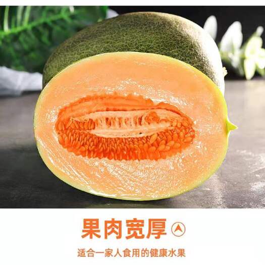 大荔县晓蜜25号  哈密瓜，西州蜜鲁厚甜！产地直供，农户直发，一手货源！