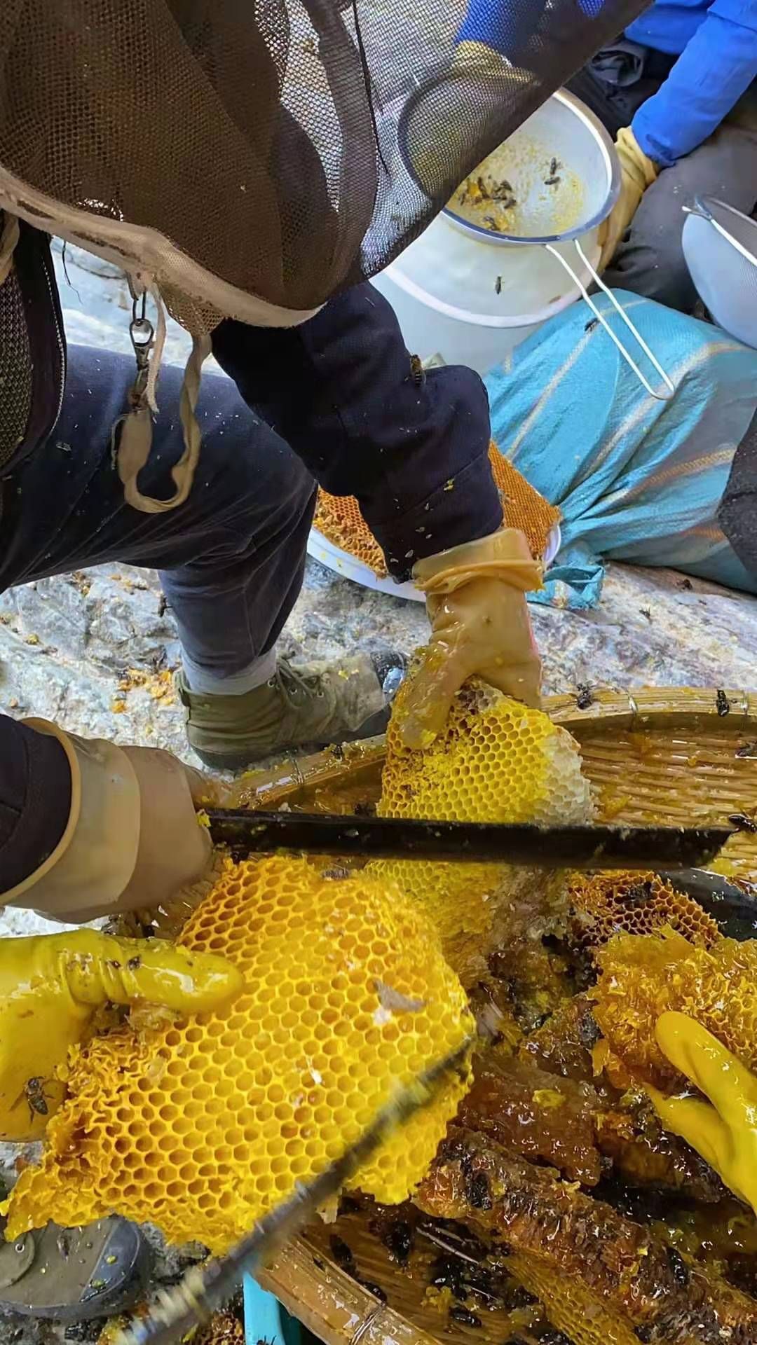  云南土蜂蜜