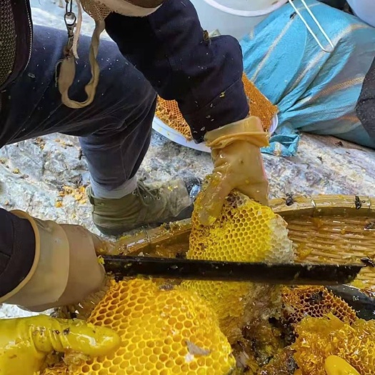 永胜县 云南土蜂蜜