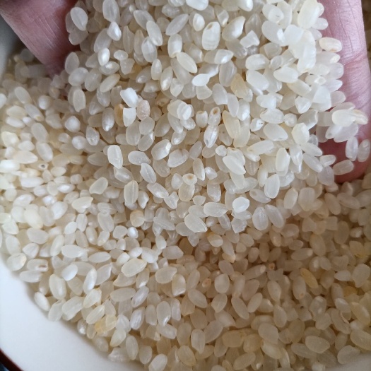 兴宁市碎米 2021新鲜东北酒米好色选米鸡食米好酒米 大量现货 白