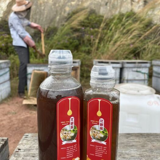 高州市鲜 龙眼蜜 蜂蜜 纯正天然蜂蜜 成熟蜜