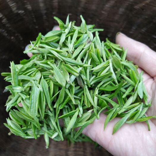 舒城县舒城小兰花  精品绿茶 2024年新茶上市。春茶精品
