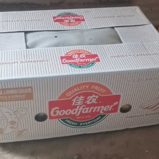 瓦房店市 佳农香蕉