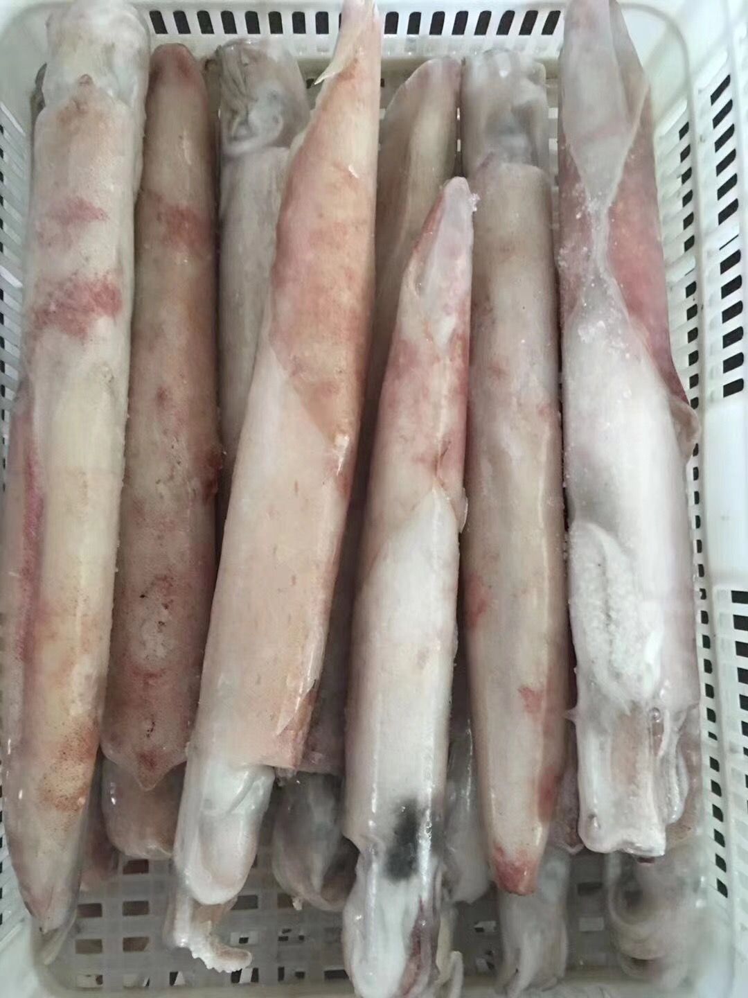 海钓鱿鱼，甜脆爽口，冻厂直批