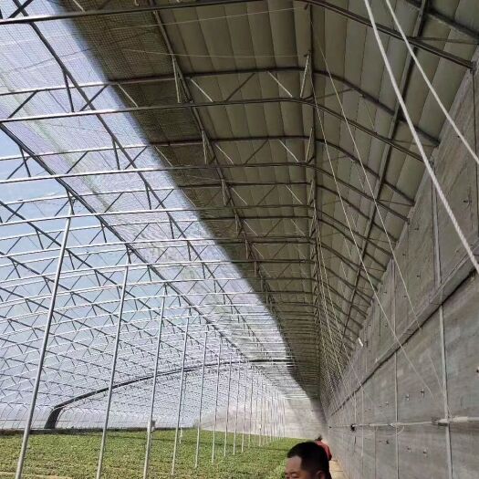 东光县种植大棚  日光温室大棚，育苗温室大棚建设，外遮阳温室大棚价格定制