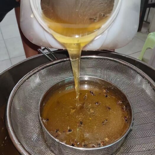 广州荔枝蜜 纯正增城荔枝龙眼花蜂蜜农家自养
