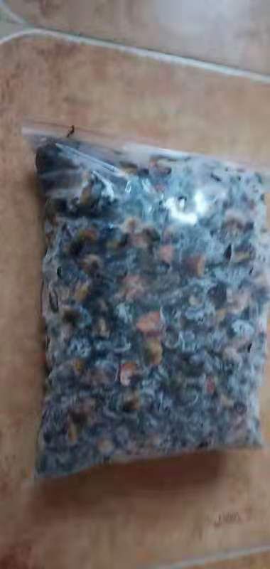 手工福寿螺肉