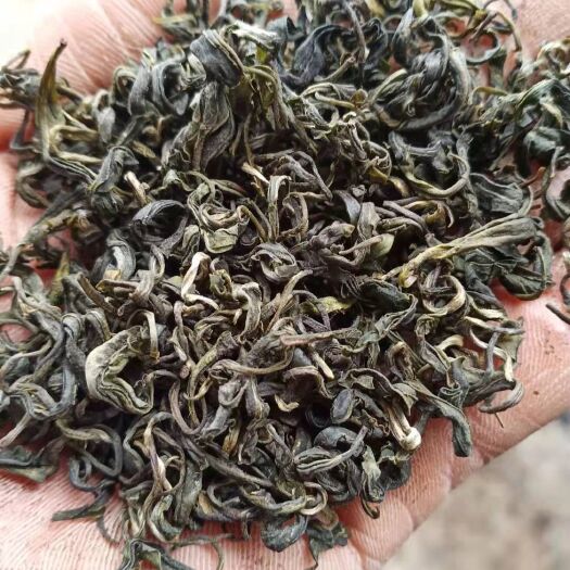 三都县毛尖茶  大量优质茶叶。