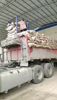 通许县丽薯6号 冷库库存土豆，v7荷兰十五，丽薯六号等清库处理五毛包上车……