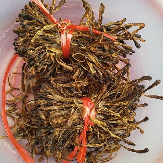 荔浦市 土地龙，全开。