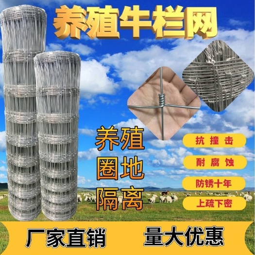 安平县荷兰网  家用防锈铁丝网养殖网围栏网圈牛羊果园围栏圈地圈鸡牛栏防护