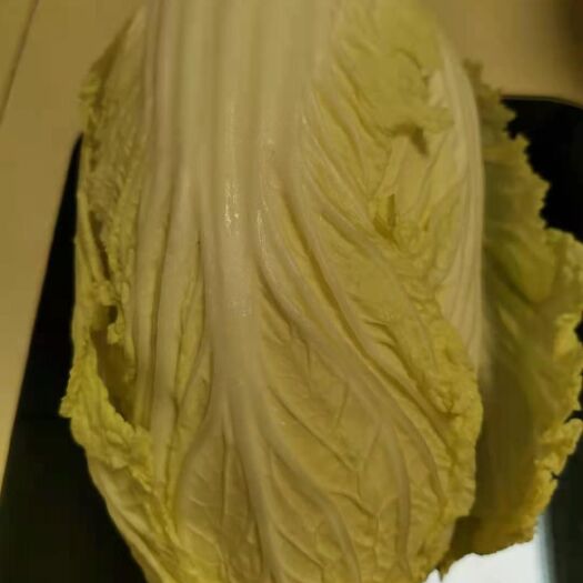 黄心娃娃菜 娃娃菜新菜！！！！！