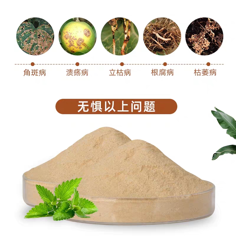 复合微生物菌剂  枯草芽孢杆菌源沃品牌 微生物菌剂 防死棵促生根抗重茬调理土壤