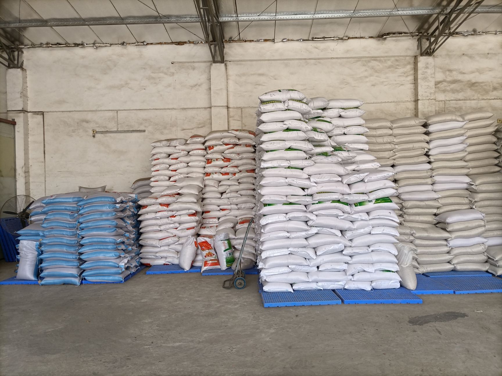 新鲜东北血糯米当地黑糯米纯黑糯米酒米 源厂直