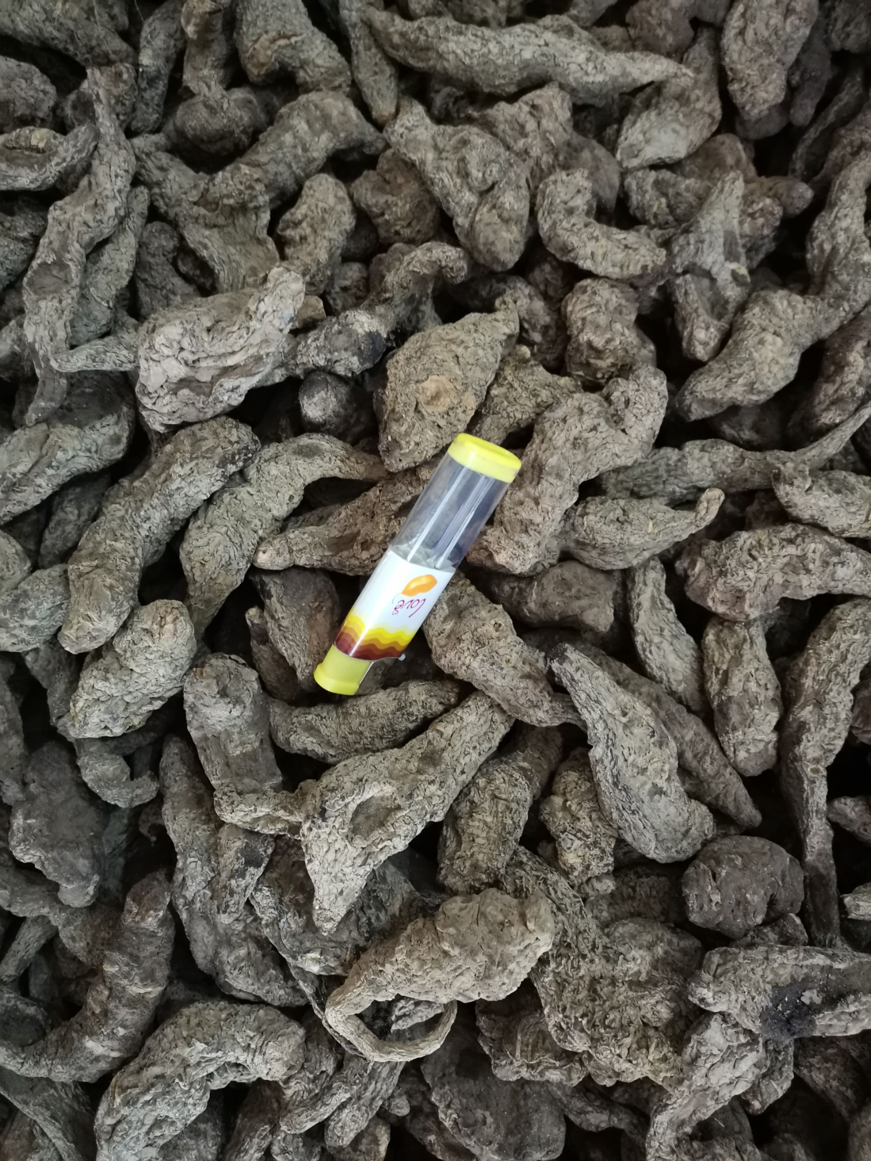 干地黄  常年供应生地(地黄)