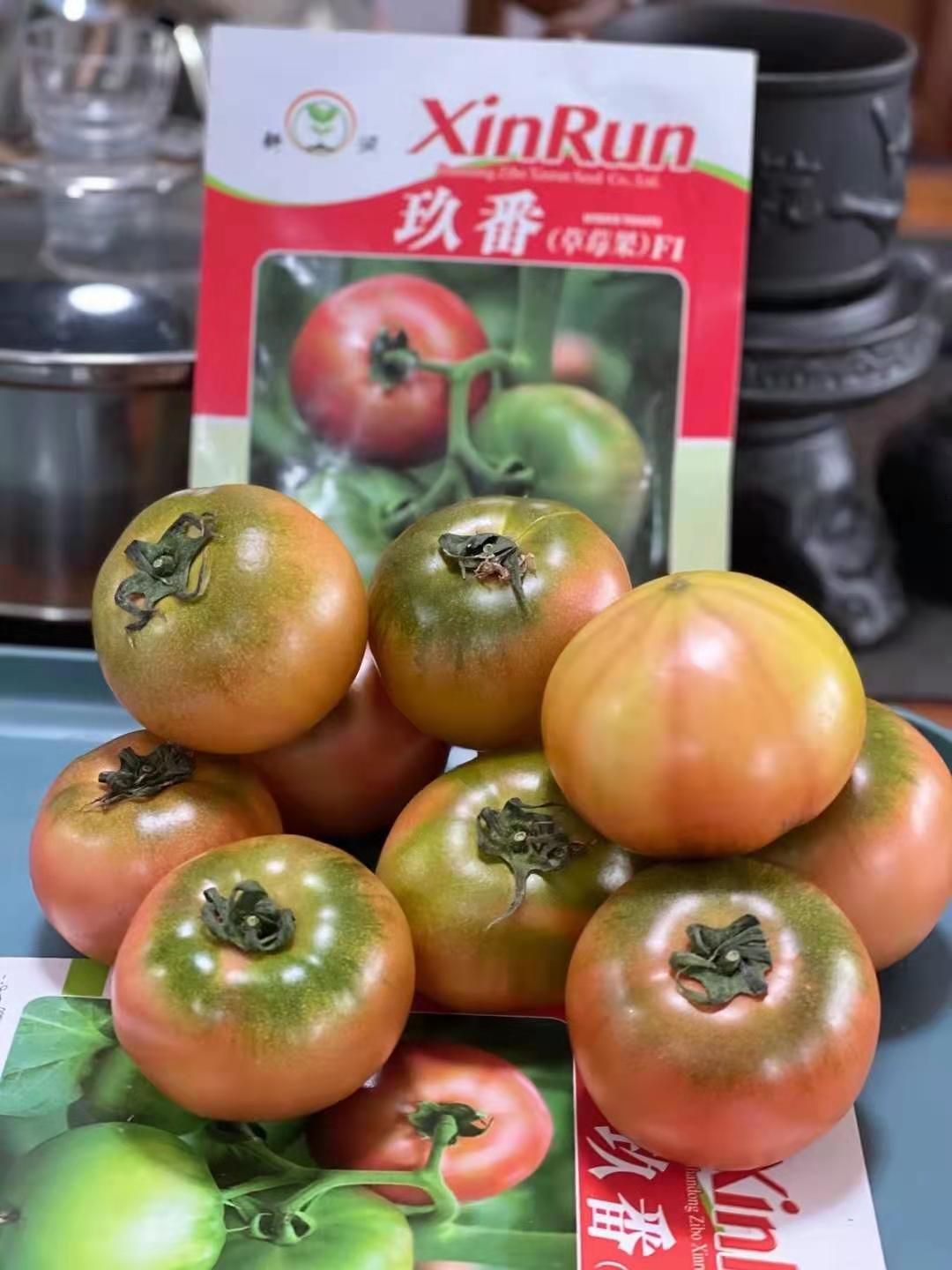 草莓番茄种子 ≥96% 杂交种 ≥85% 