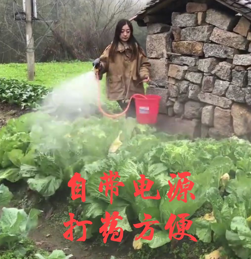 锂电打药机消毒清洗机24V农用打药机手握式农用打药家用洗车机