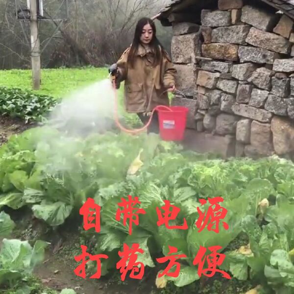 锂电打药机消毒清洗机24V农用打药机手握式农用打药家用洗车机