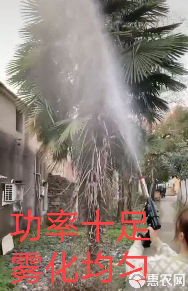 锂电打药机消毒清洗机24V农用打药机手握式农用打药家用洗车机