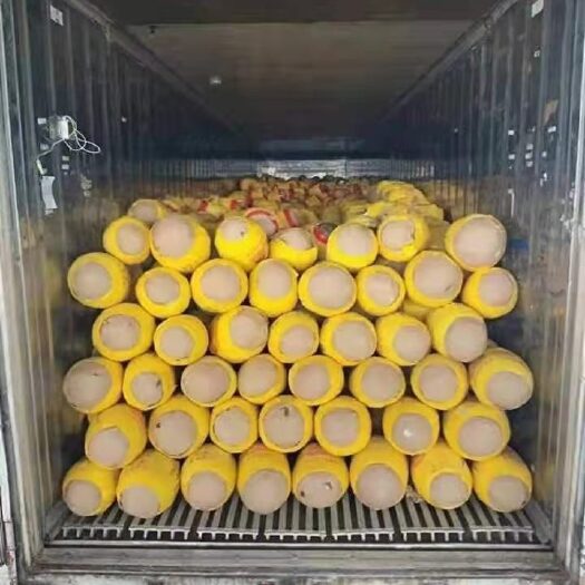 凭祥市越南前江省红肉菠萝蜜