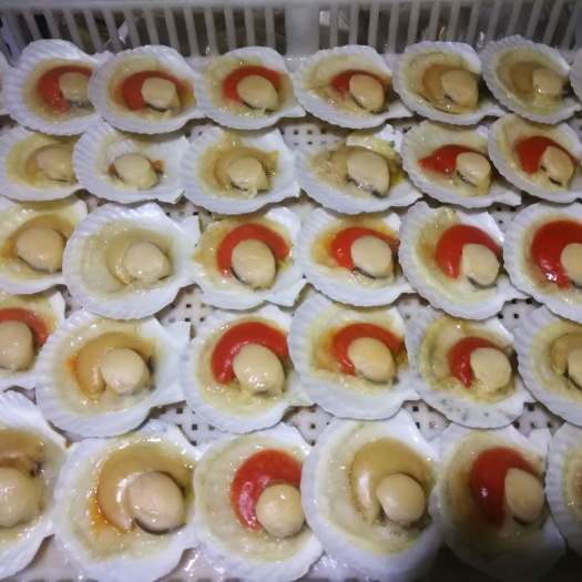 义乌市虾夷扇贝  半壳扇贝