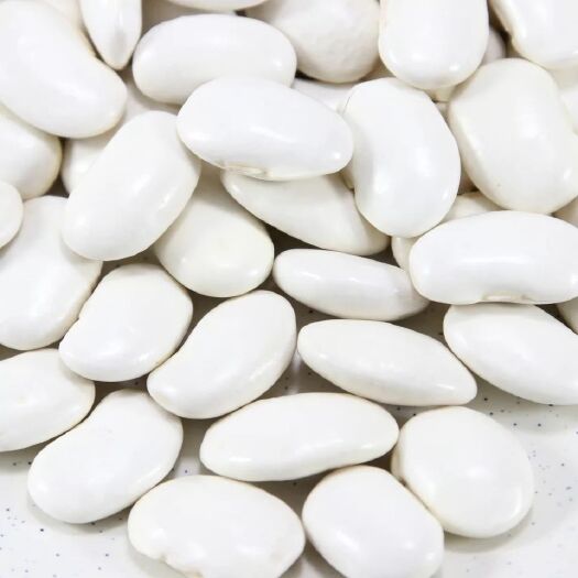 精选大白芸豆。批发价