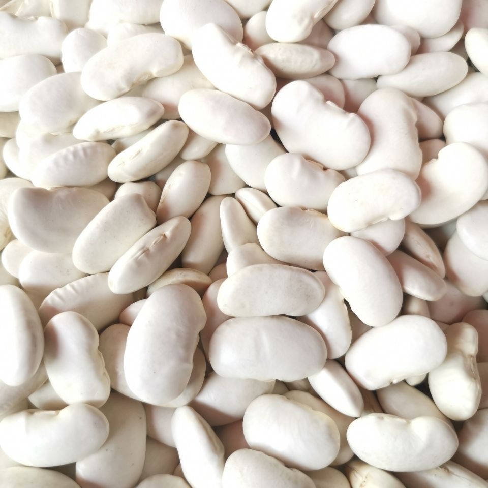 精选大白芸豆。批发价