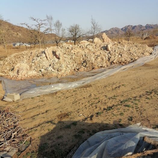 建昌县红薯渣